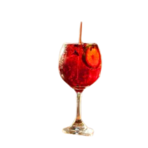 hibiscus Spritz